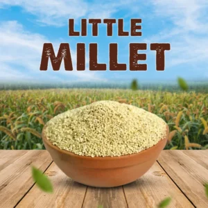 Little Millet