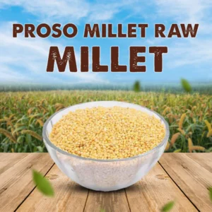 Proso Millet