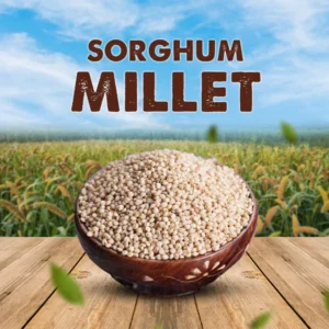 Sorghum Millet