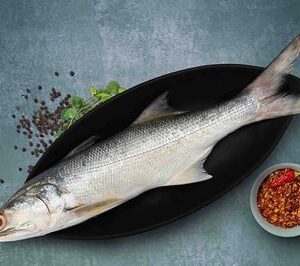 Indian Salmon fish