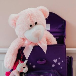 Teddy Bear